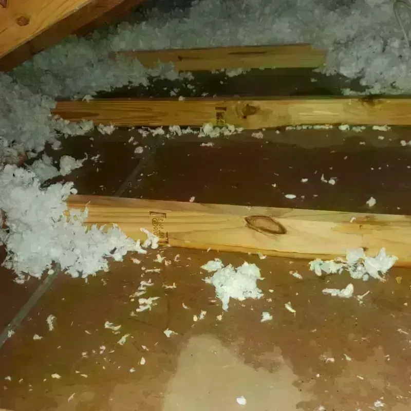 Attic Water Damage in Sykesville, PA