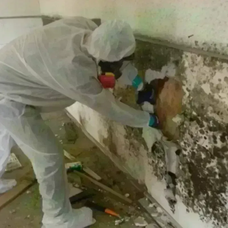 Mold Remediation and Removal in Sykesville, PA